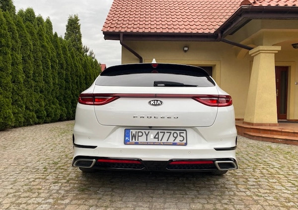 Kia Pro_cee'd cena 84900 przebieg: 90000, rok produkcji 2020 z Opoczno małe 407